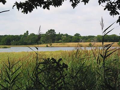 Curbridge Creek