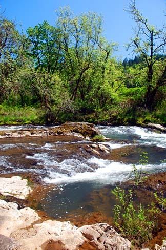 Willamina Creek