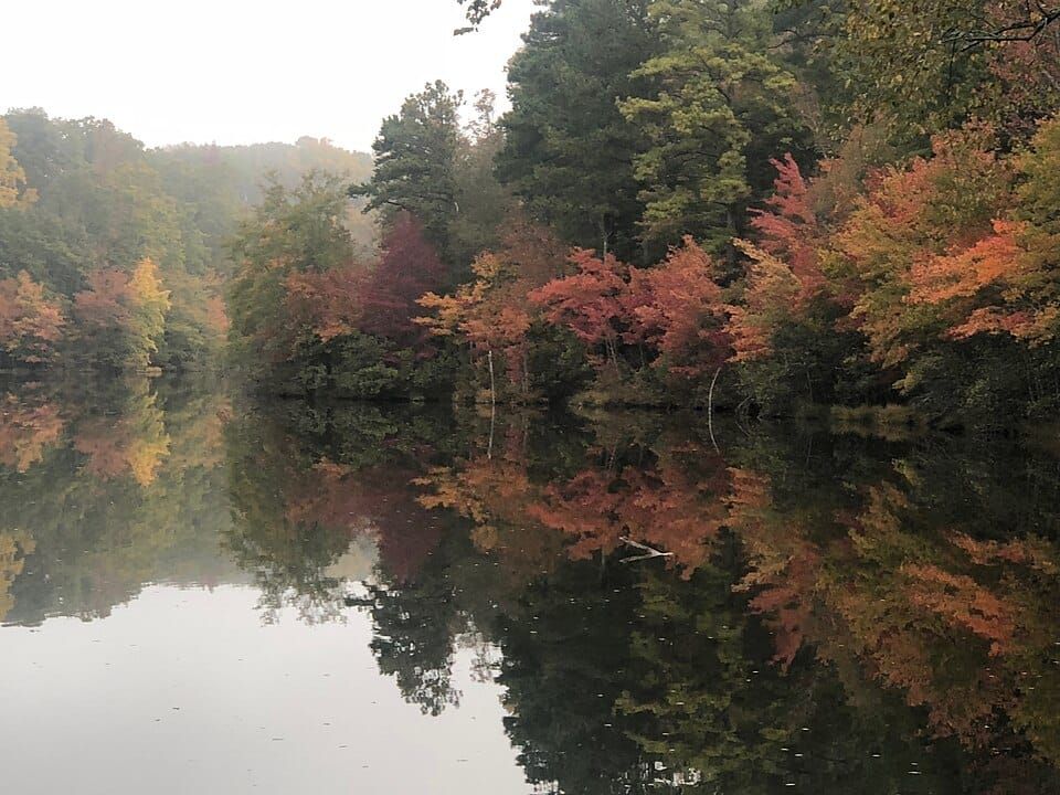 Lake Rabon Park