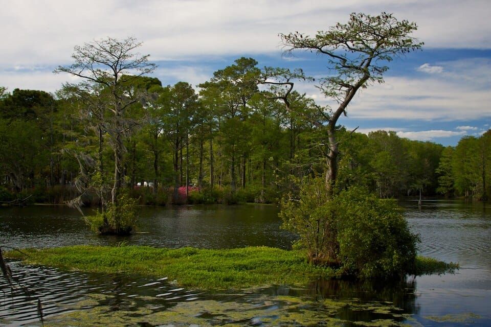 Greenfield Lake