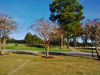 Jekyll Island State Park