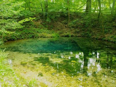 Blue Clay Spring