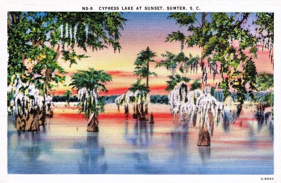 Cypress Lake