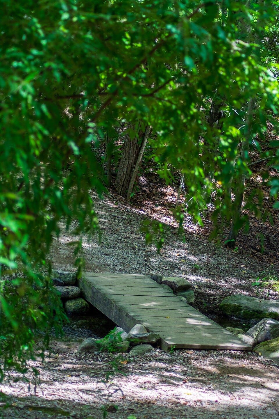 Mill River Recreation Area