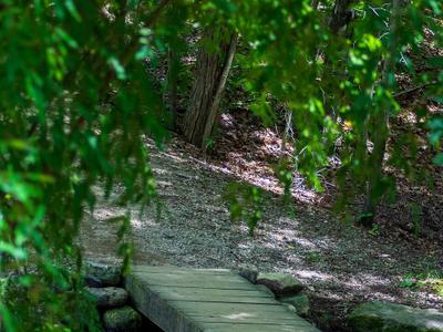 Mill River Recreation Area