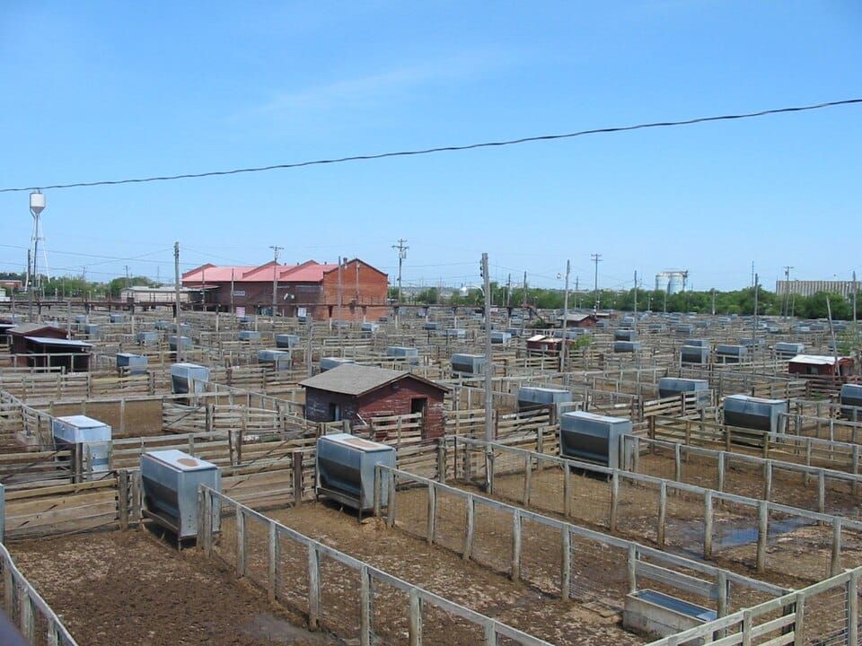 Oklahoma River Cruises - Stockyards Landing