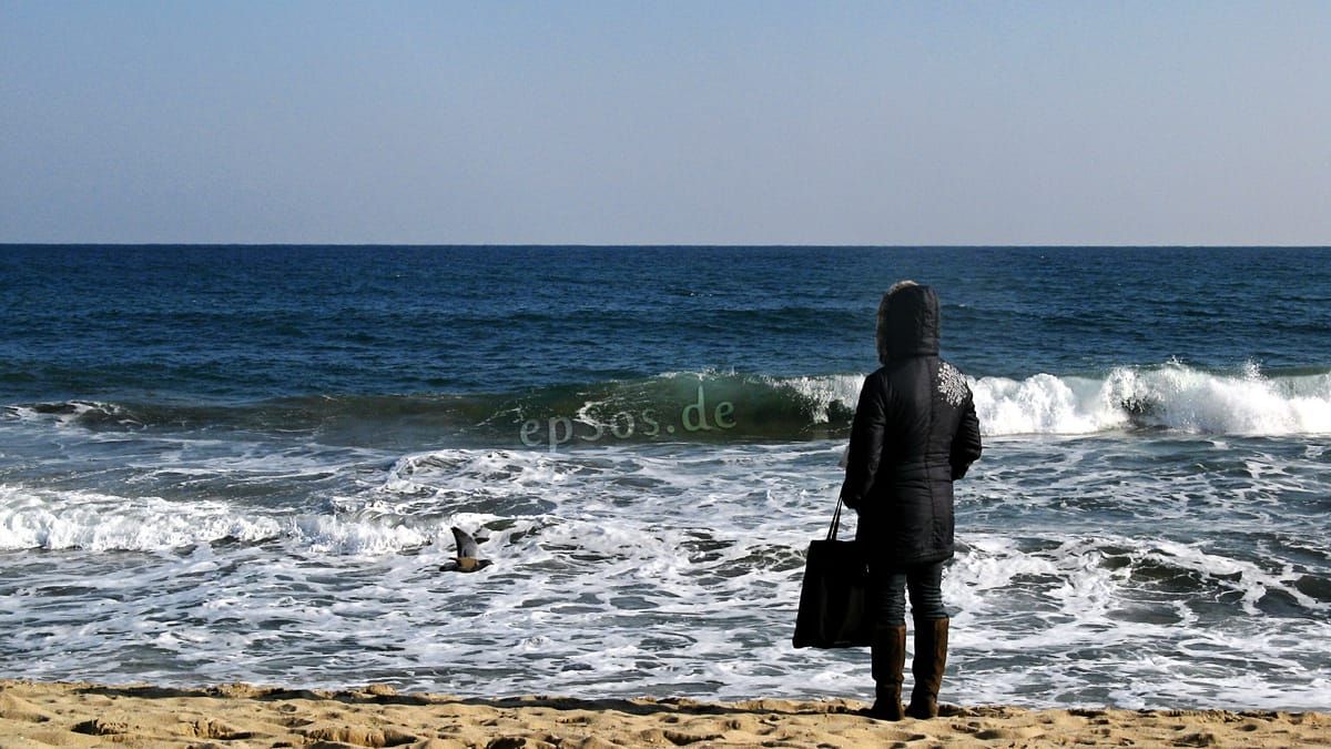 Yellow Jacket Beach