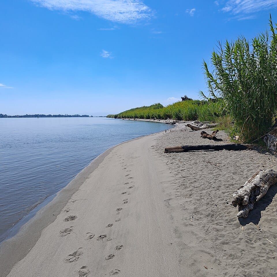 Sandy beach fishing