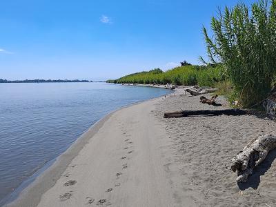 Sandy beach fishing