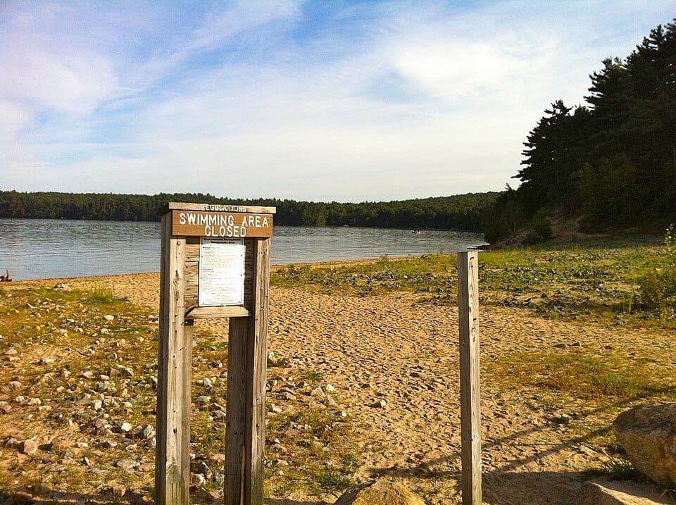 Beach Pond