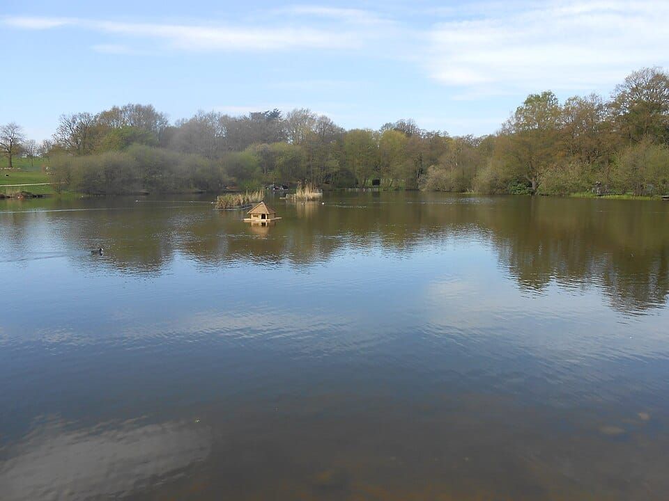 Acton Park Lake