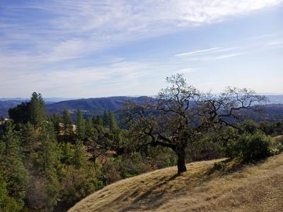 Sada's Spring