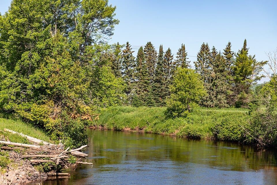Sturgeon River