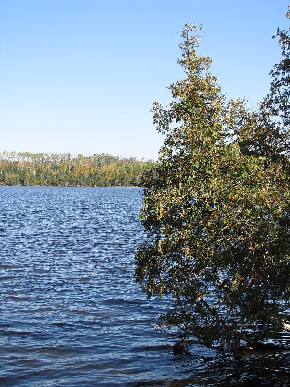 White Pine Lake