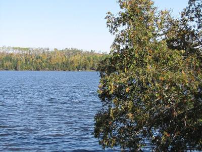 White Pine Lake