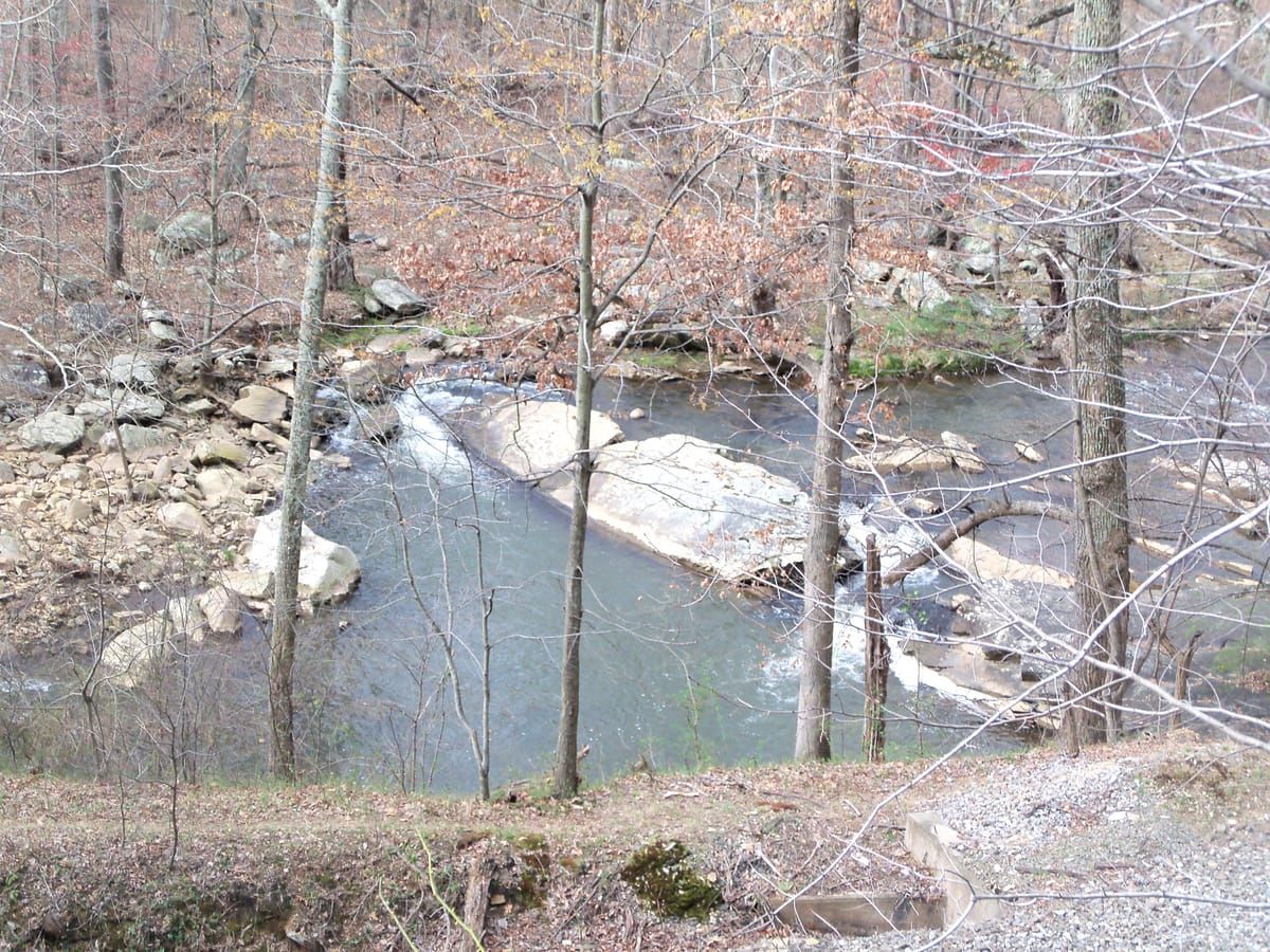 Lake Millbrook