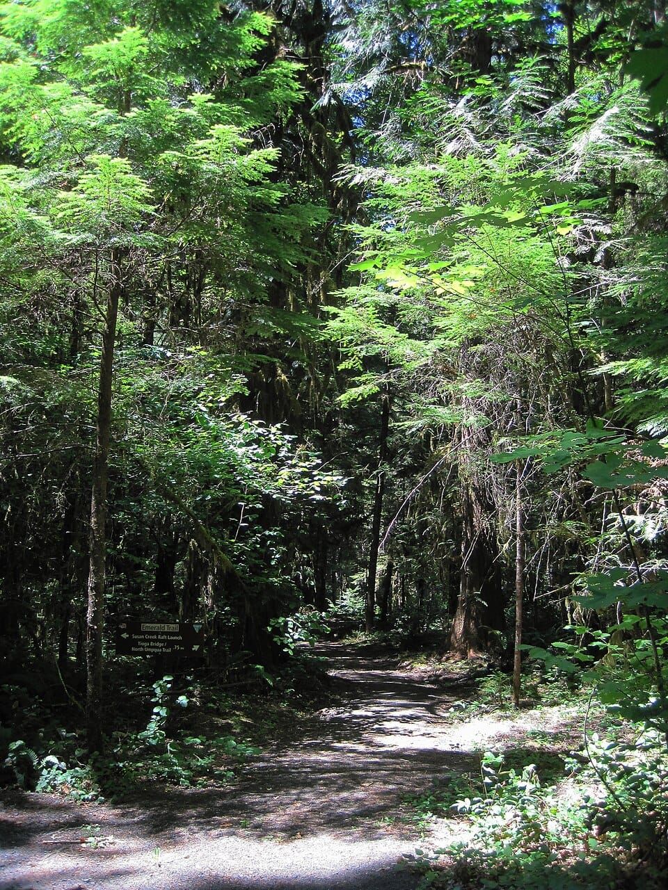 Susan Creek Day Use Area