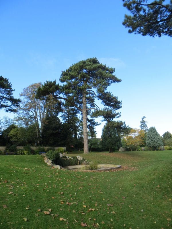 Wallingford Pond