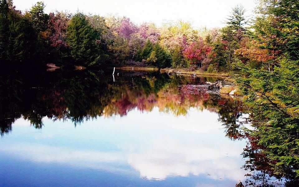 Sand Spring Lake