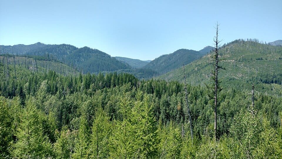 Canyon Creek