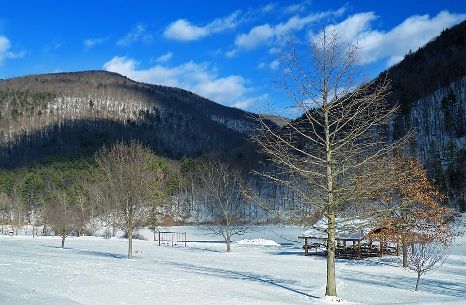 Shadow Lake Picnic Area
