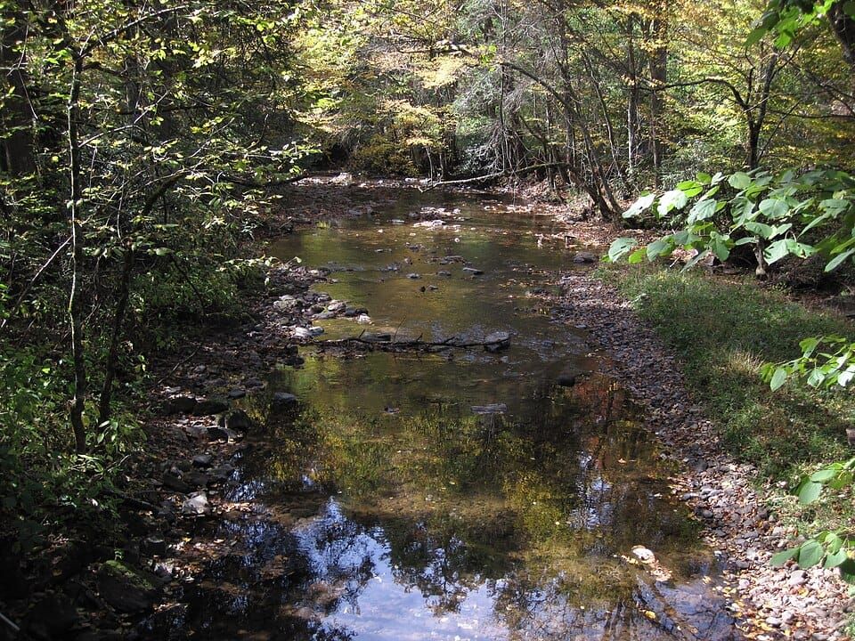 Whitetop Laurel Creek