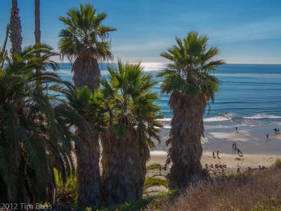 Swami's Beach