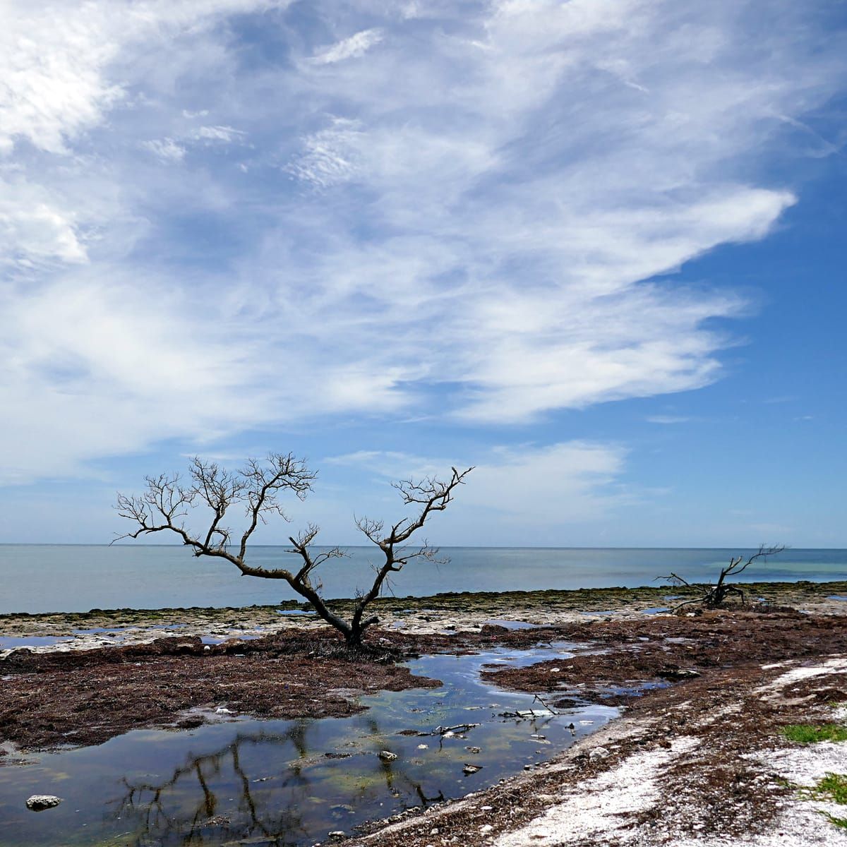 Horseshoe Beach