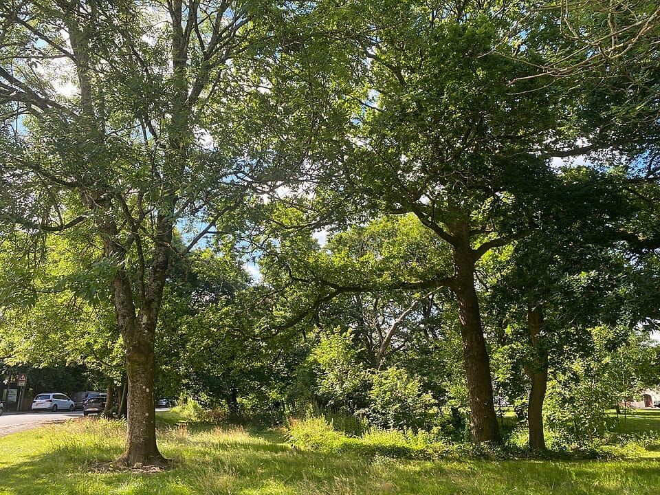 Ffynnon Llandennis