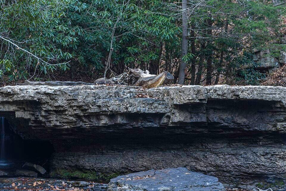 Camp Creek State Park