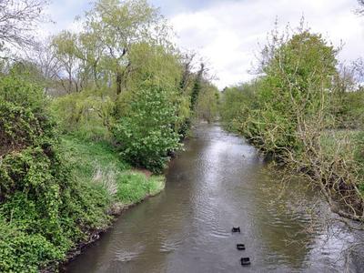 River Ely