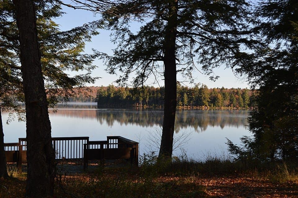 Bog River - Lower Dam
