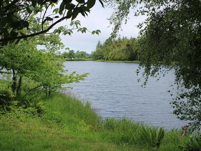 Black Lake Park