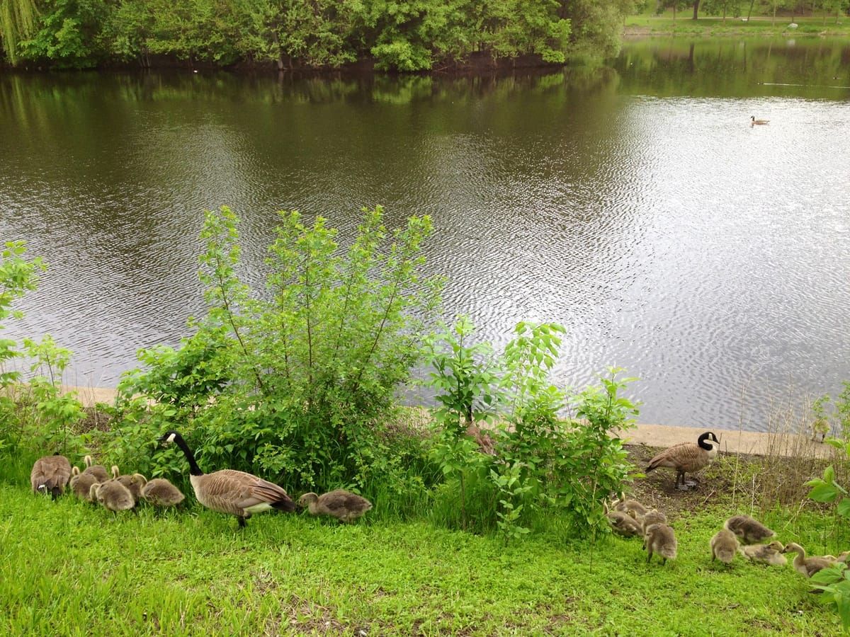 Powderhorn Lake