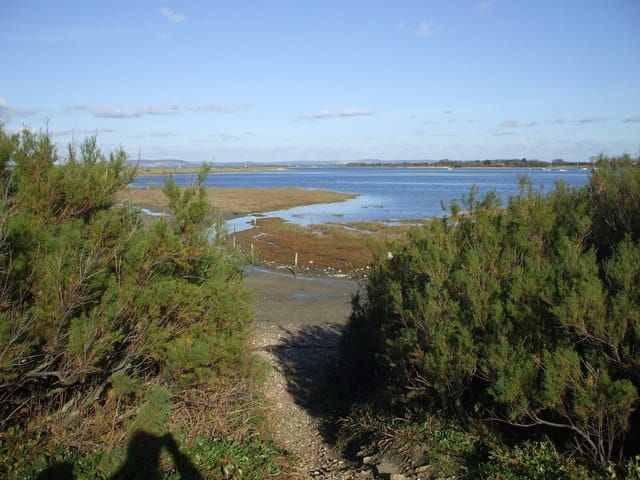 Chichester Harbour