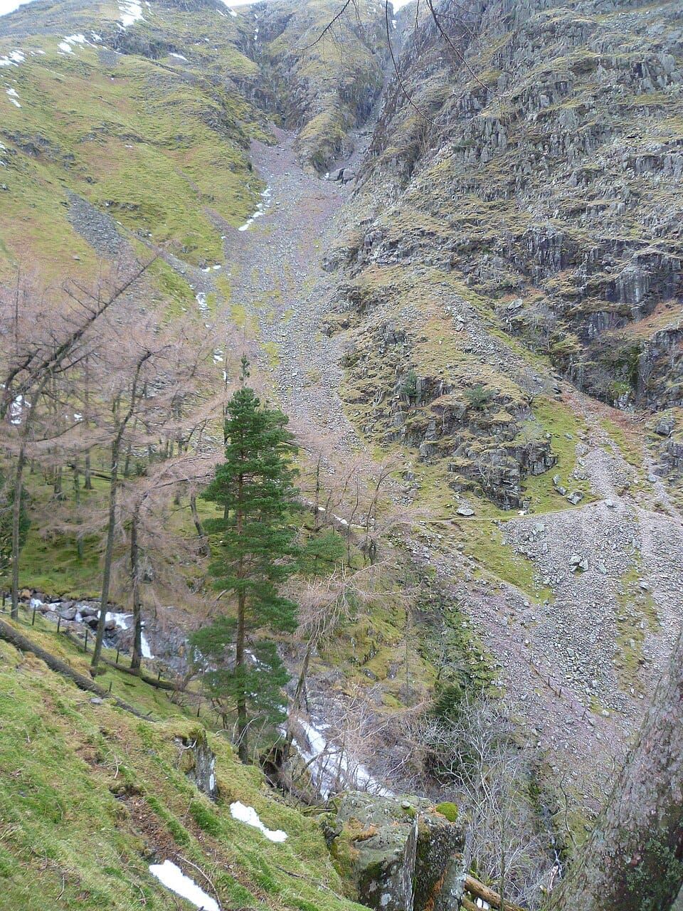 Taylorgill Force