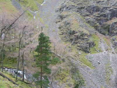 Taylorgill Force