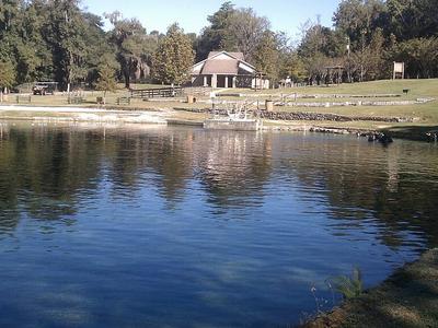 Blue Springs Park Beach