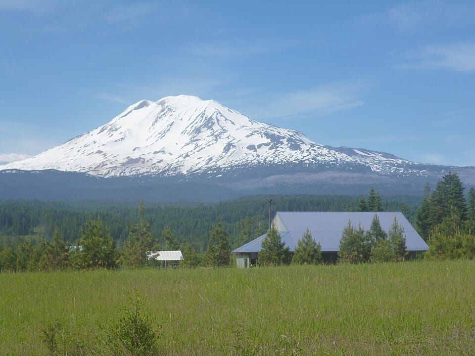 Trout Lake