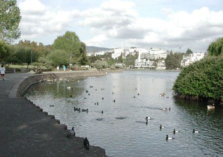 Merritt Lake