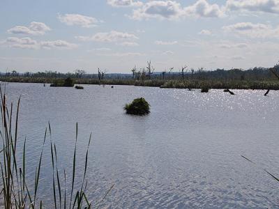Green Hills Lake