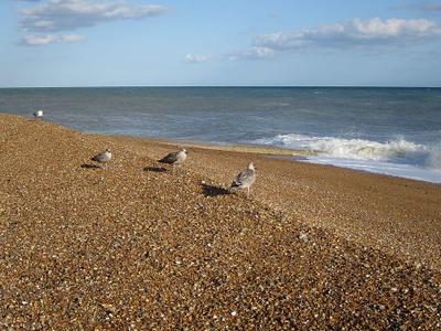 Rock-a-Nore Beach
