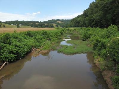 Pleasant Creek