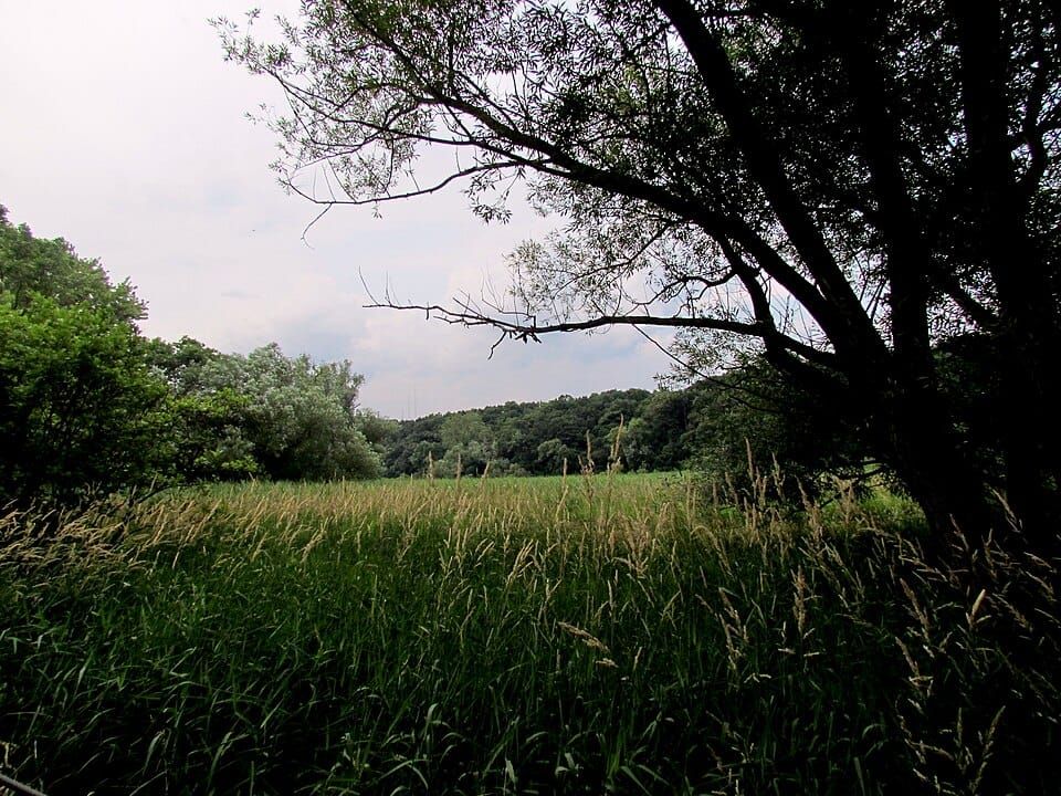 Wildwood Lake