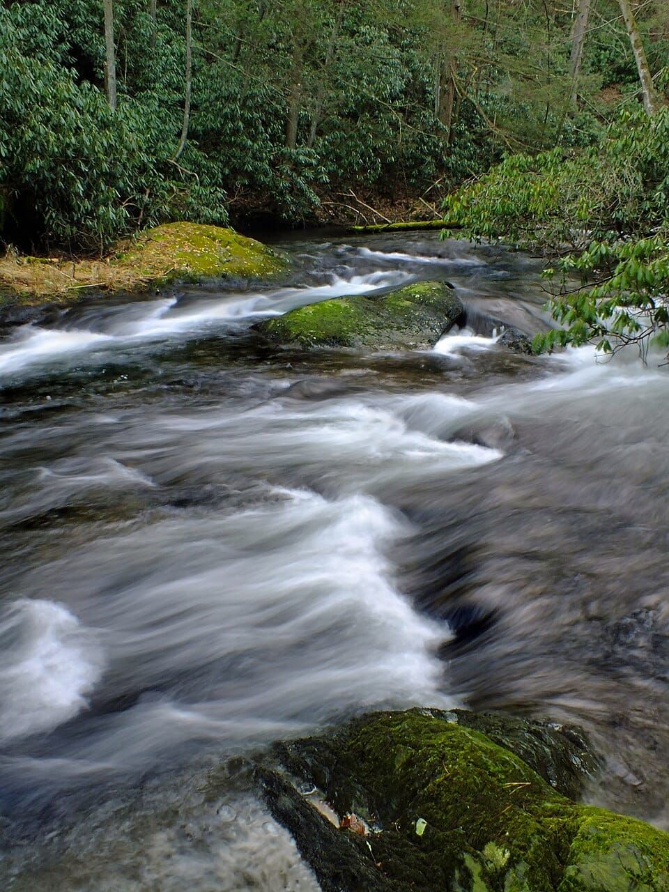 Pohopoco Creek