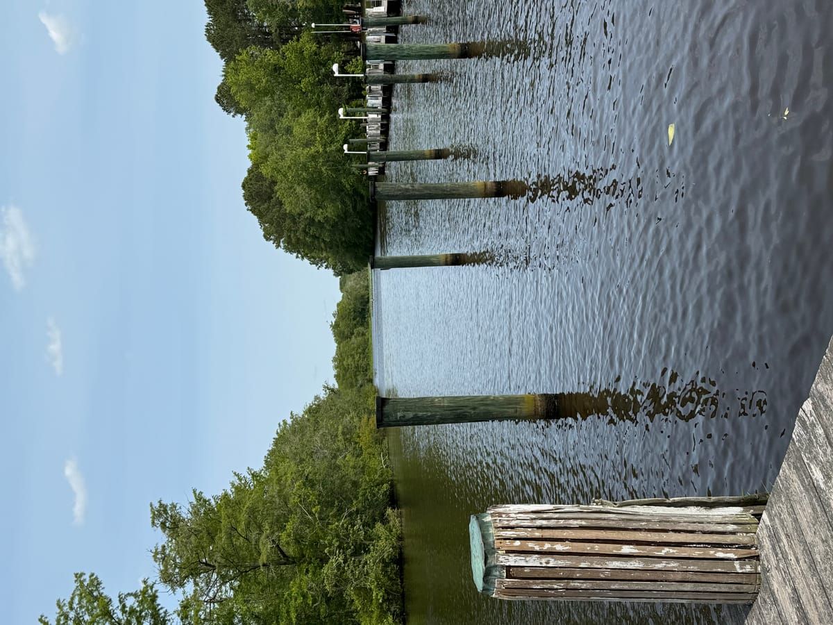 Pocomoke River State Park: Shad Landing