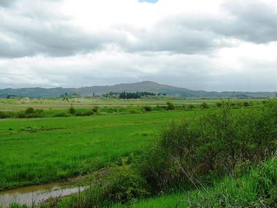 Wapato Lake