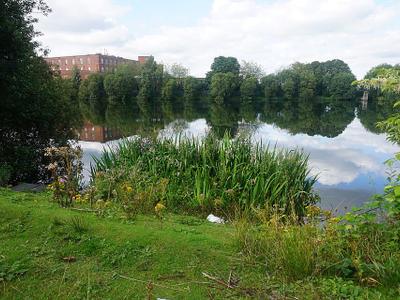 Bradford Reservoir