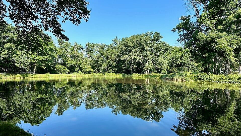 Institute Pond