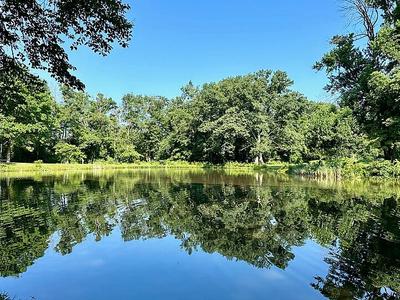 Institute Pond